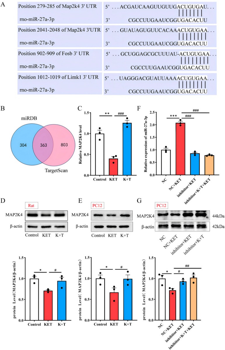 a01725 1 publication fgene 17 1701742 g007