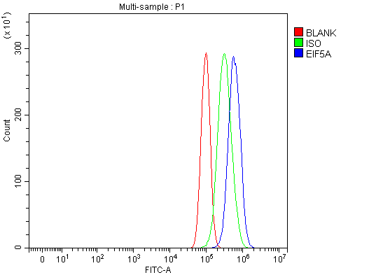 a01727 3 eif5a primary antibodies fcm testing 4
