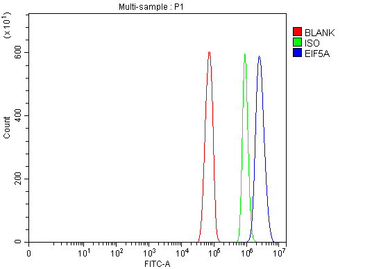 a01727 4 eif5a primary antibodies fcm testing 8