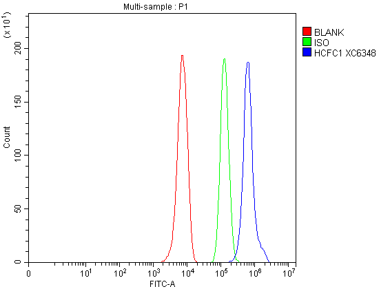 a01729 2 hcfc1 primary antibodies fcm testing 1