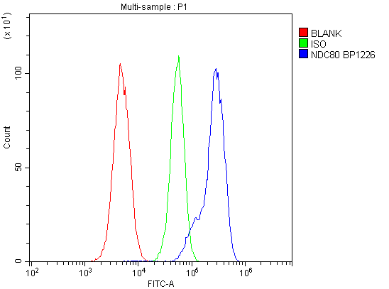 a01731 2 ndc80 primary antibodies fc testing 3_1