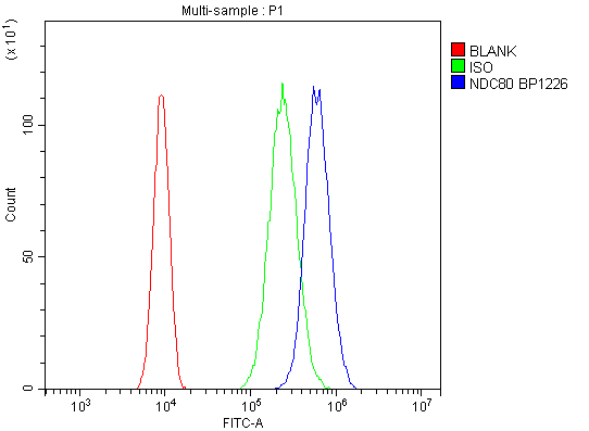 a01731 2 ndc80 primary antibodies fc testing 4_1