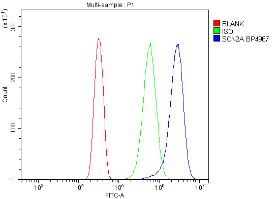 a01735 2 scn2a primary antibodies fcm testing 2