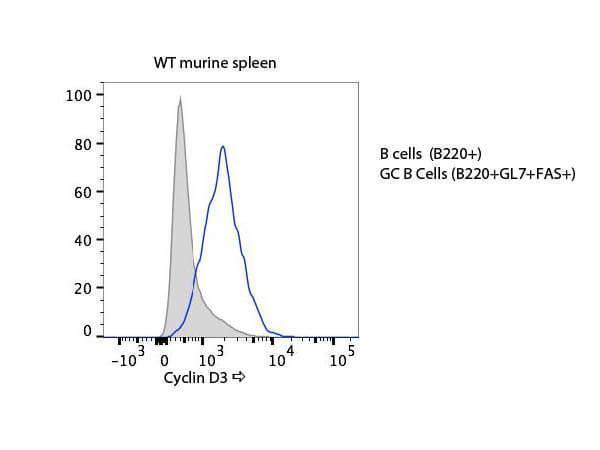 Flow Cytometry of Rabbit anti-Cyclin D3 antibody