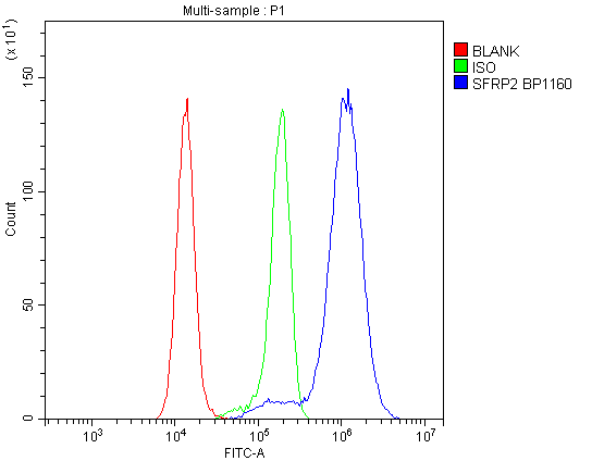 a01752 1 sfrp2 primary antibodies fc testing 4_1