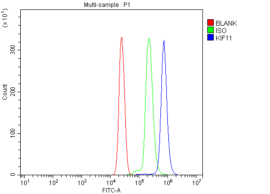 a01754 2 kif11 primary antibodies fcm testing 6