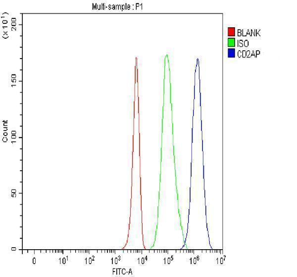 a01756 2 cd2ap primary antibodies fcm testing 6