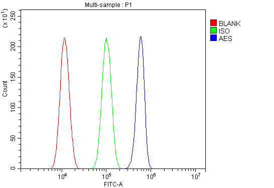 a01757 1 aes primary antibodies fcm testing 4_1