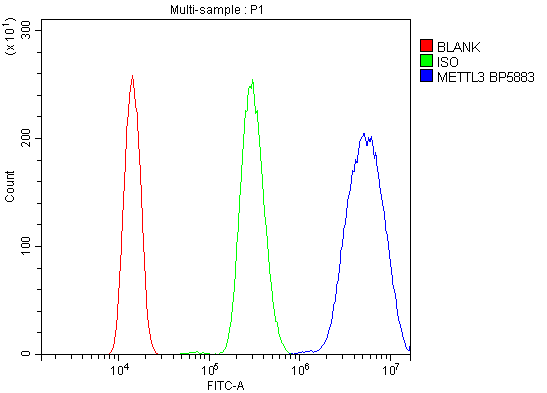 a01758 2 mettl3 primary antibody fcm testing 6