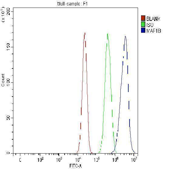 a01760 1 map1b primary antibodies fcm testing 6