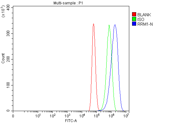  Flow Cytometry analysis of U87 cells using anti-RRM1 antibody (A01764-2)