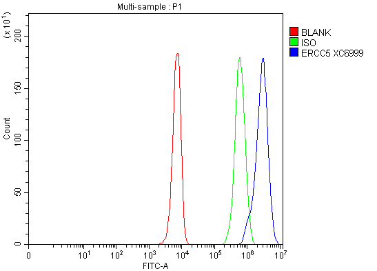 a01770 2 ercc5 primary antibodies fcm testing 1