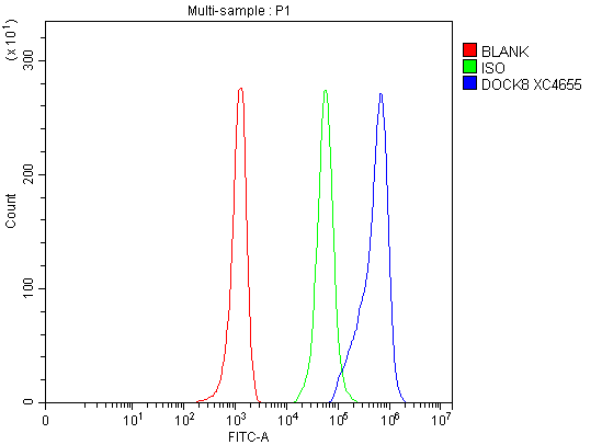 a01771 1 dock8 primary antibodies fcm testing 4