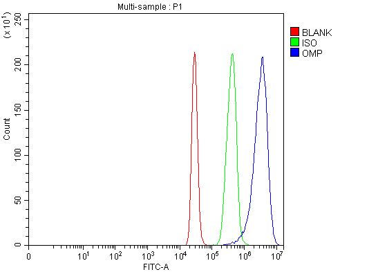 a01781 1 omp primary antibodies fcm testing 3