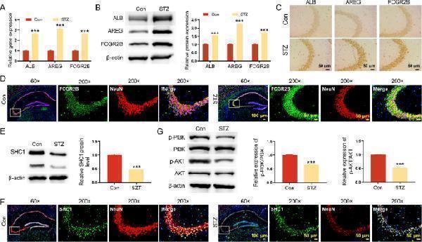 a01787 1 10020_2025_1301_fig2_html