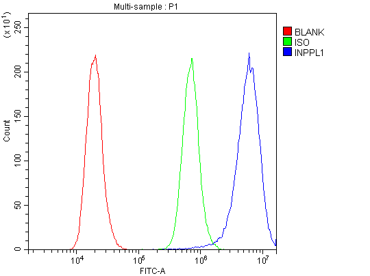 a01790 inppl1 primary antibodies fcm testing 10
