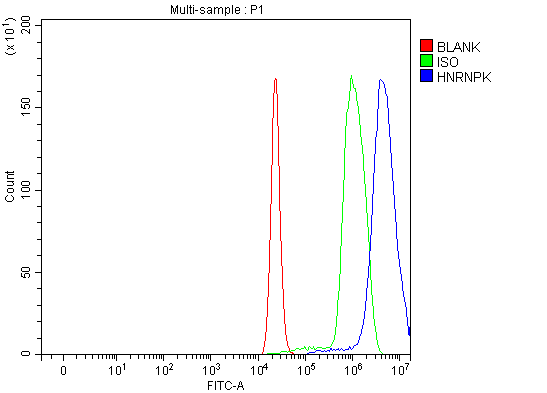 a01793 2 hnrnpk primary antibodies fcm testing 5