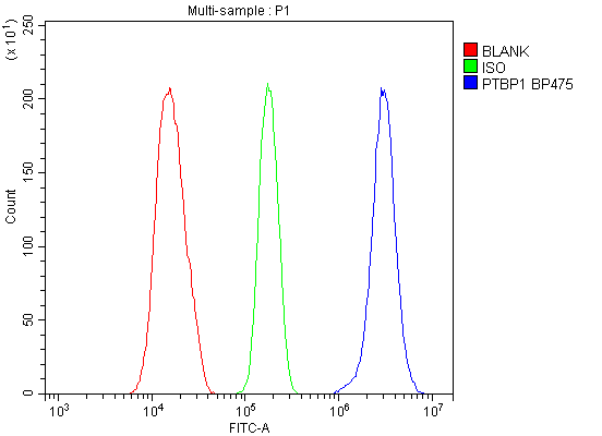 a01798 ptbp1 primary antibodies fc testing 9