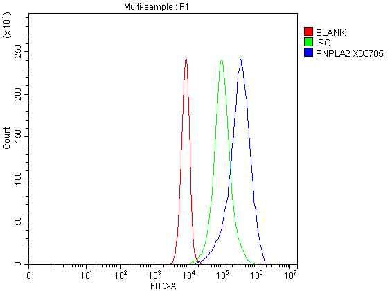 a01800 1 pnpla2 primary antibodies fcm testing 1