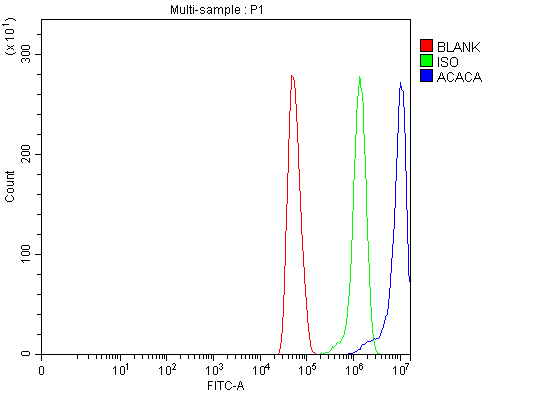  Flow Cytometry analysis of U251 cells using anti-ACACA antibody (A01802-3)