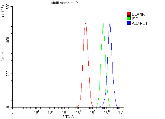  Flow Cytometry analysis of 293T cells using anti-RED1/ADARB1 antibody (A01810-2)