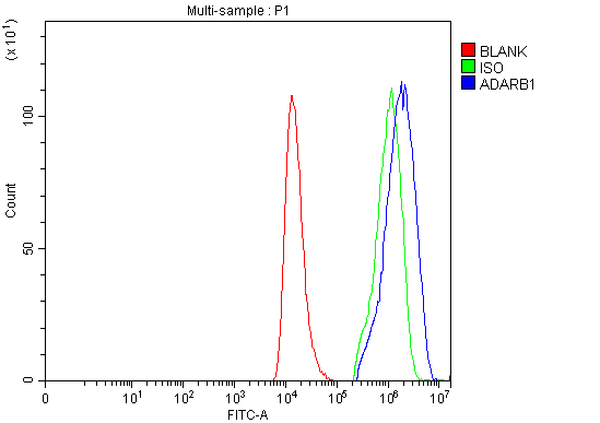  Flow Cytometry analysis of HEL cells using anti-RED1/ADARB1 antibody (A01810-2)