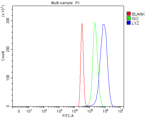  Flow Cytometry analysis of HepG2 cells using anti-Lysozyme/LYZ antibody (A01811-1)