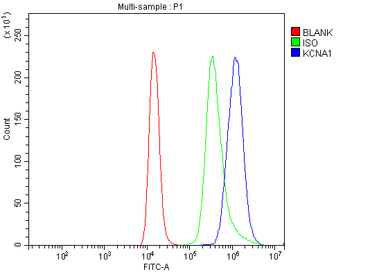a01813 1 kcna1 primary antibodies fcm testing 6