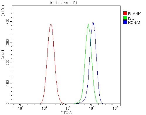 a01813 3 kcna1 primary antibodies fcm testing 2