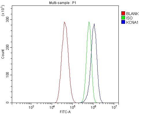 a01813 3 kcna1 primary antibodies fcm testing 3