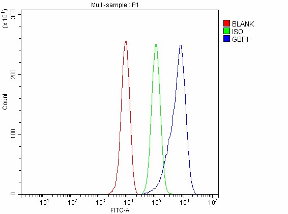 a01817 1 gbf1 primary antibodies fcm testing 8