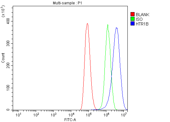 a01826 2 htr1b primary antibodies fcm testing 6_1