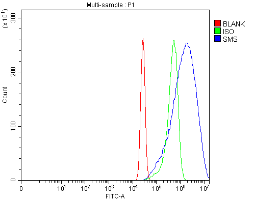  Flow Cytometry analysis of A431 cells using anti-SMS antibody (A01831-1)