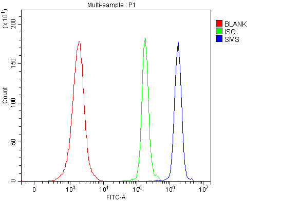  Flow Cytometry analysis of JK cells using anti-SMS antibody (A01831-1)