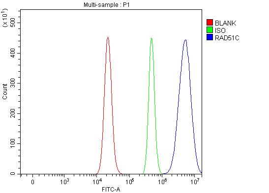 a01837 1 rad51c primary antibodies fcm testing 7