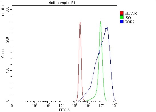 a01840 2 ror2 primary antibodies fcm testing 2