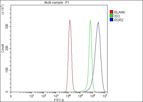 a01840 2 ror2 primary antibodies fcm testing 3