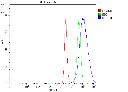  Flow Cytometry analysis of MCF-7 cells using anti-KPNB1 antibody (A01851-2)