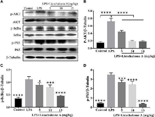 a01857 1 fimmu 10 00287 g005