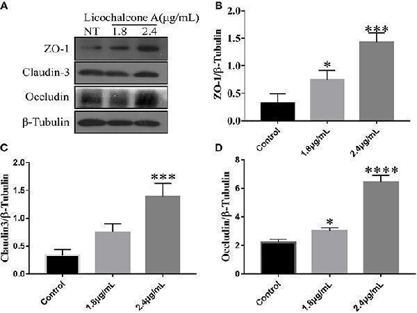a01857 1 fimmu 10 00287 g011