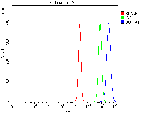 a01865 1 ugt1a1 primary antibodies fcm testing 1