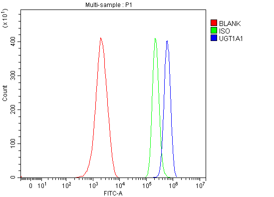  Flow Cytometry analysis of ANA-1 cells using anti-Ugt1a1 antibody (A01865-2)
