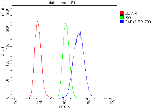 a01868 1 gap43 primary antibodies fcm testing 4