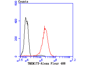 Flow cytometric analysis of THP-1 cells with TMEM173 antibody at 1/100 dilution (red) compared with an unlabelled control (cells without incubation with primary antibody; black)