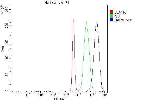 a01874 3 qki primary antibodies fcm testing 1
