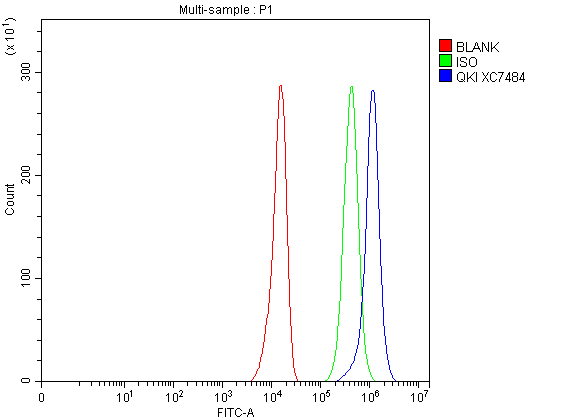 a01874 3 qki primary antibodies fcm testing 2