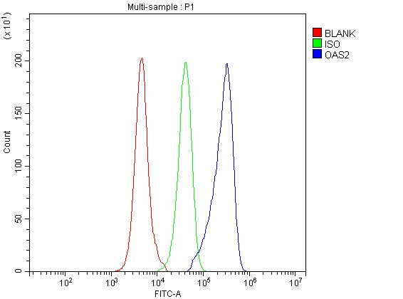  Flow Cytometry analysis of Raw264