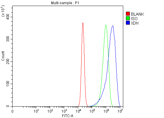 a01884 2 xdh primary antibodies fcm testing 6