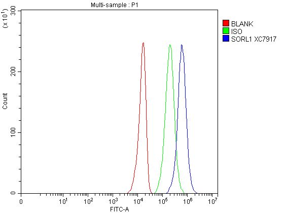 a01887 1 sorl1 primary antibodies fcm testing 1