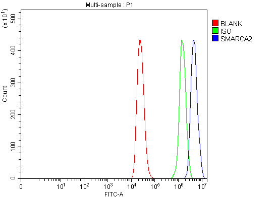 a01888 3 smarca2 primary antibodies fcm testing 15